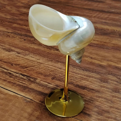 Seashell Glasses
