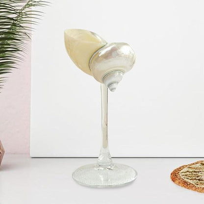 Seashell Glasses