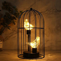 Two Birds