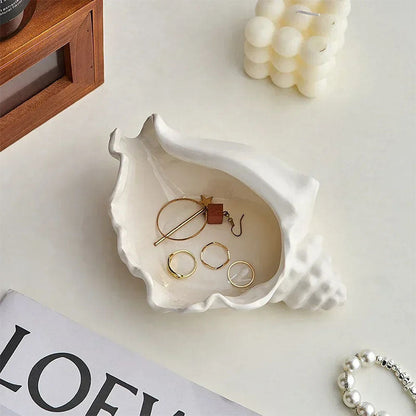 Conch Storage Shell