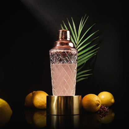 Glass Cocktail Shaker