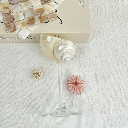 Seashell Glasses