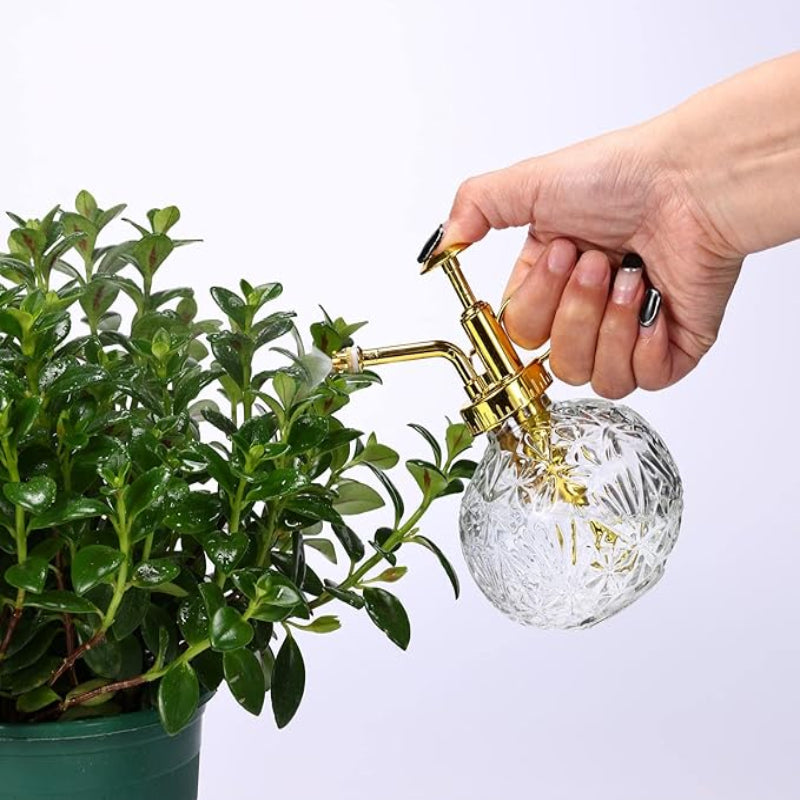 Plant Mister