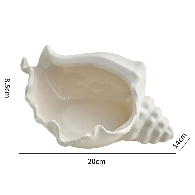 Conch Storage Shell