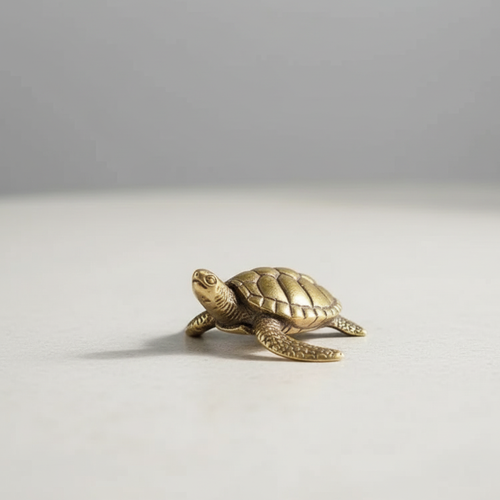 Brass Turtle