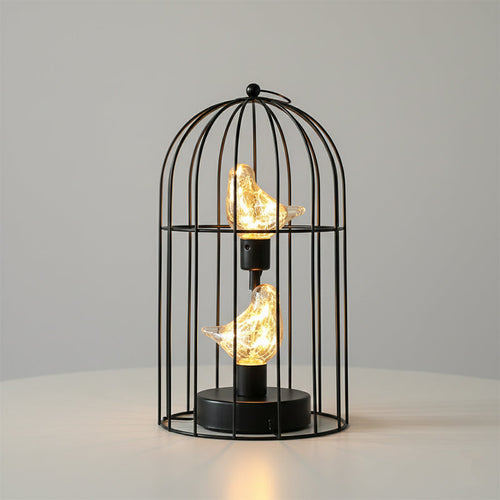 Light-up Birdcage