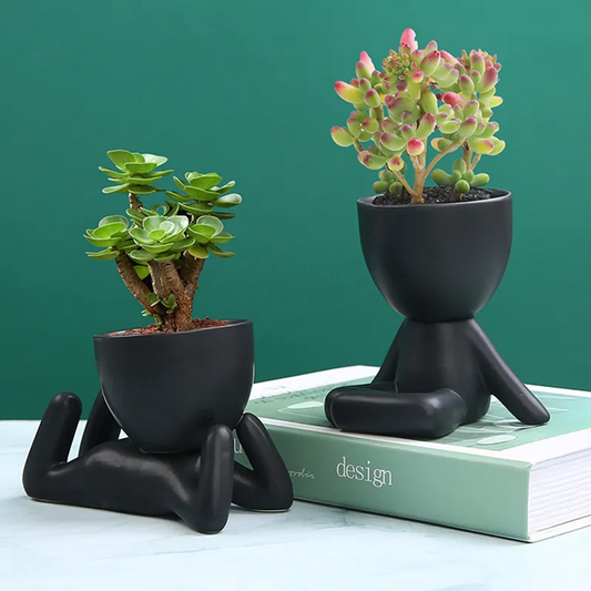 Oasis Plant Holders