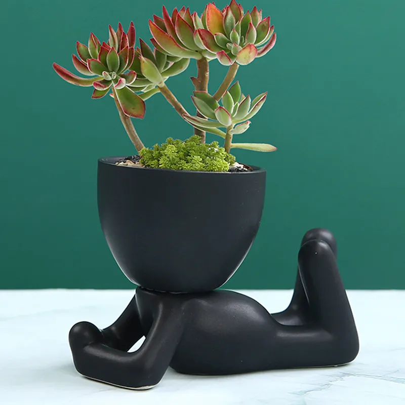 Oasis Plant Holders