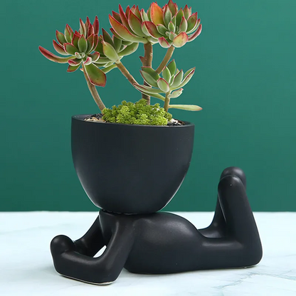 Oasis Plant Holders