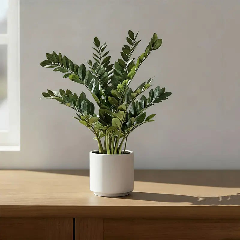 Artificial Ficus Branches