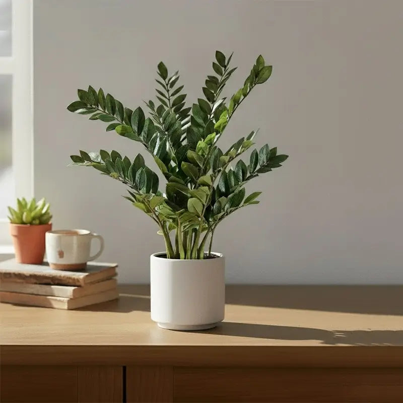Artificial Ficus Branches
