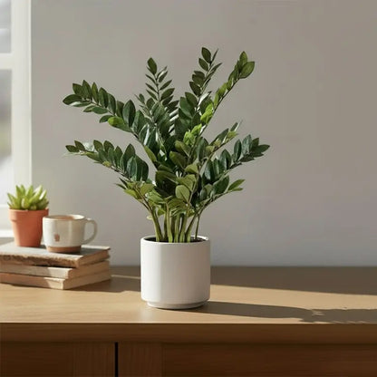 Artificial Ficus Branches