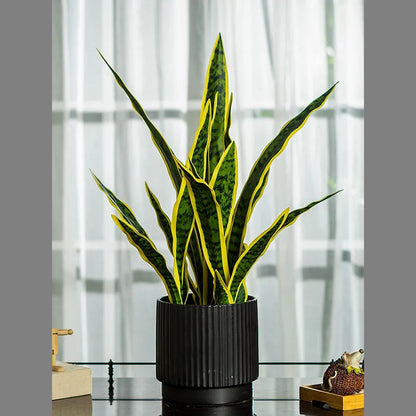 Faux Snake Plant