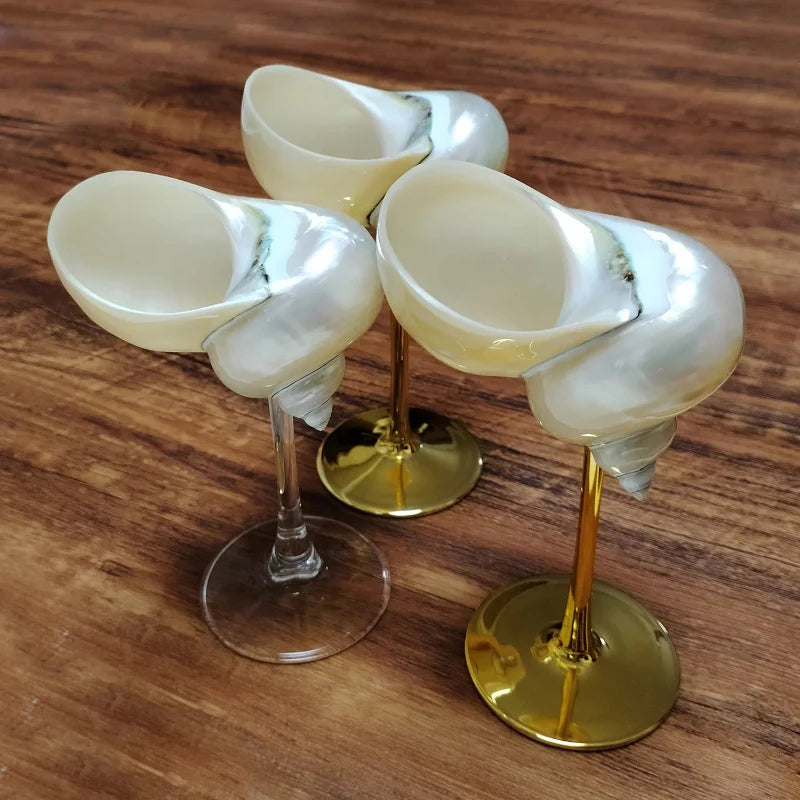 Seashell Glasses