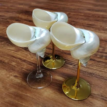 Seashell Glasses