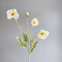 White Yellow