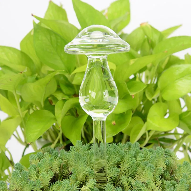 Self-Watering Plant Decor