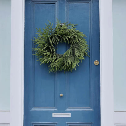 24-inch Norfolk Pine Wreath