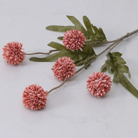 Coral Red
