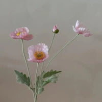 Peony