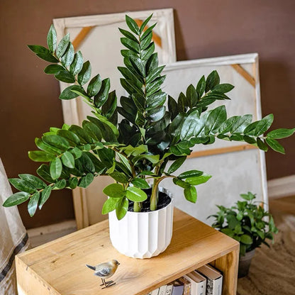 Artificial Ficus Branches