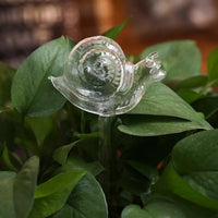 Snail