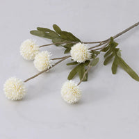 Ivory White