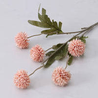 Peach Rose