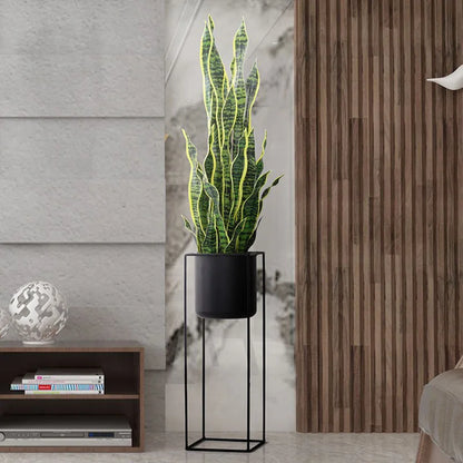 Faux Snake Plant