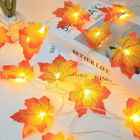 3M (20LED)