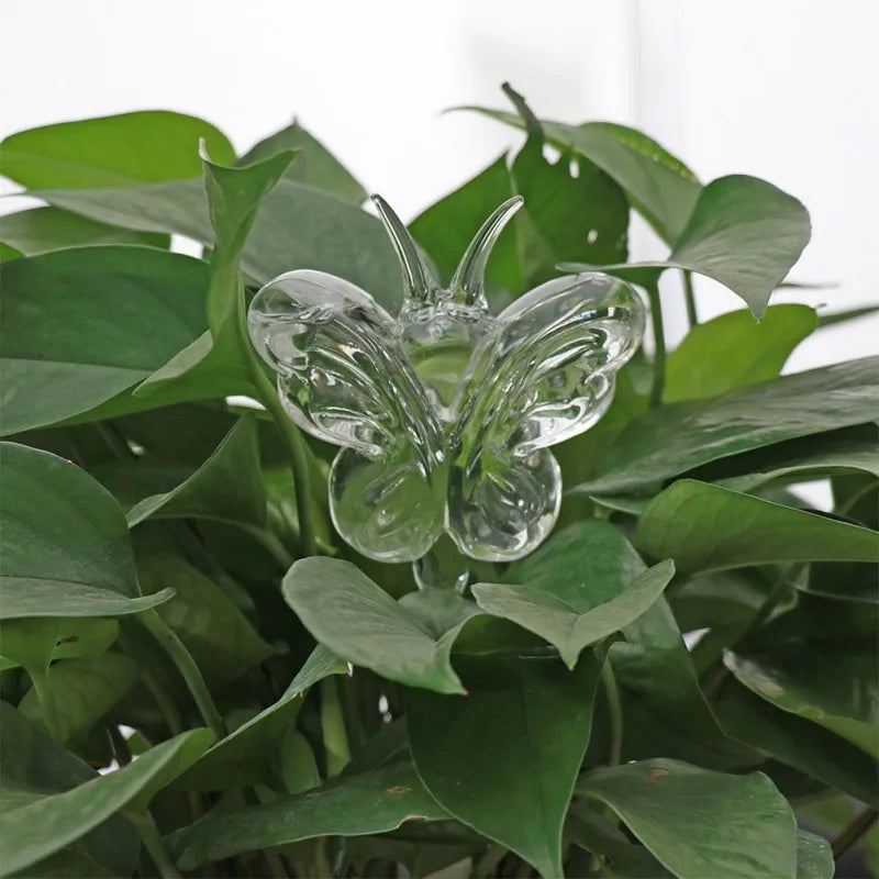 Self-Watering Plant Decor
