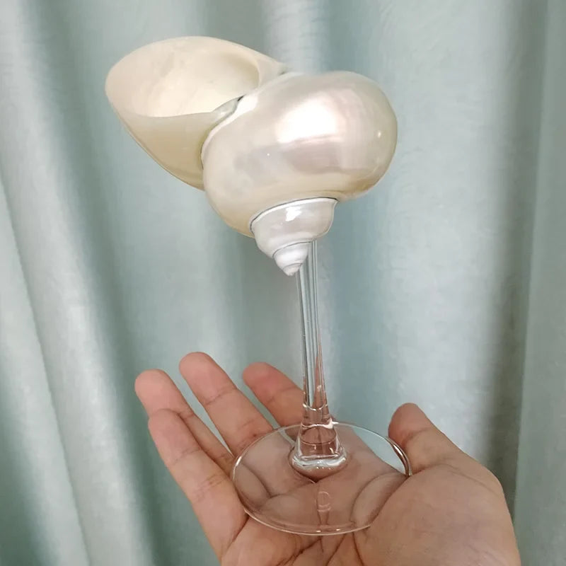 Seashell Glasses
