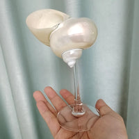 Clear