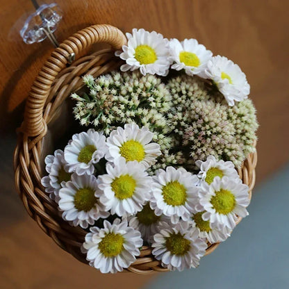 Breeze Wall Hanging Basket